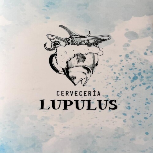 whatsapp image 2026 07 15 at 13.27.57