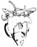 cropped logo lupulus 1.png